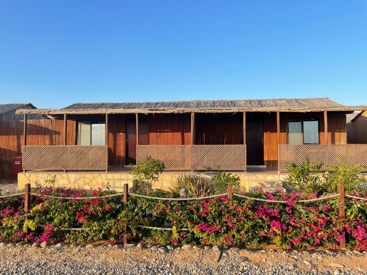 Turtle Beach Resort Ras al Hadd Kültér fotó