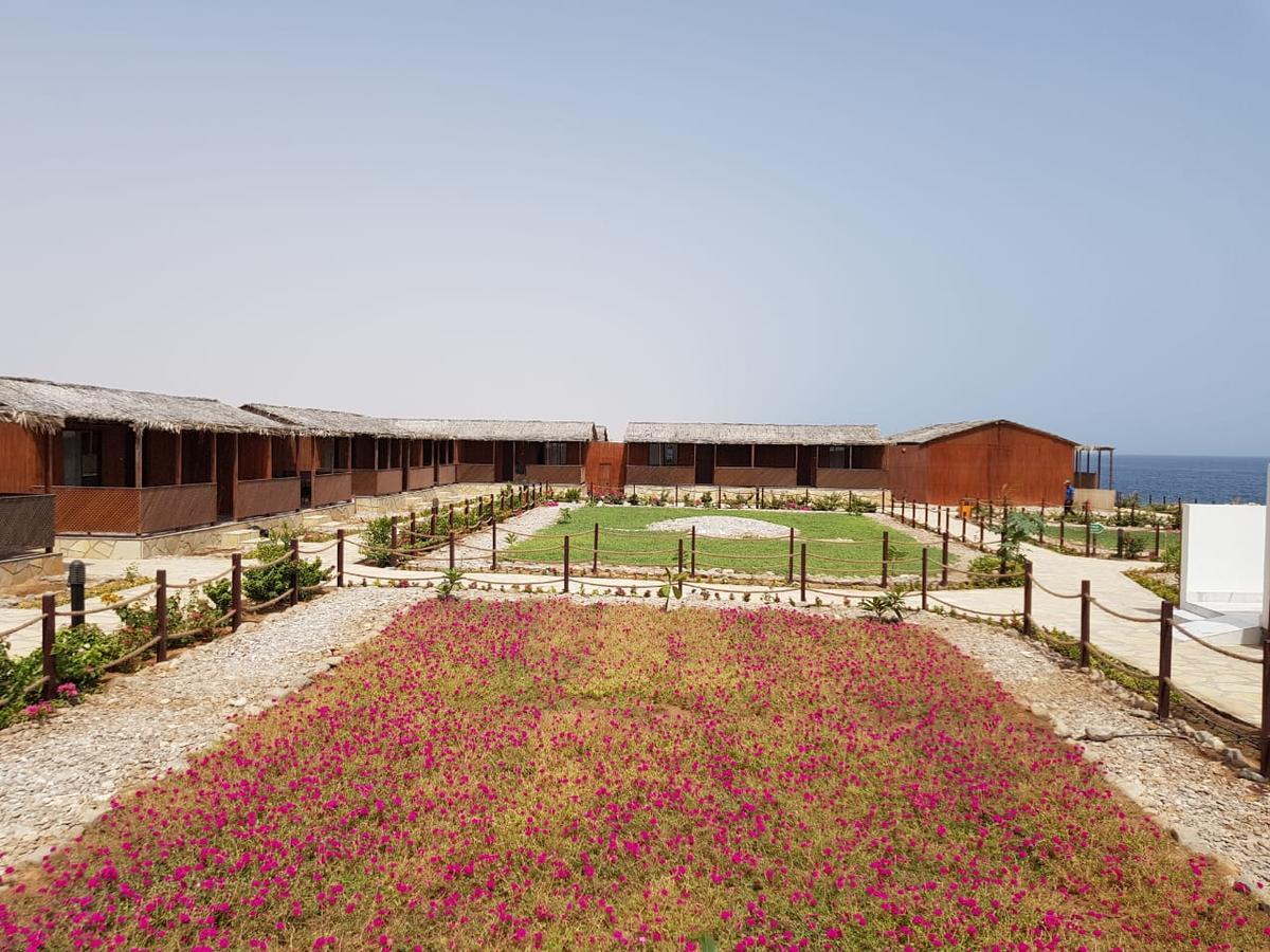 Turtle Beach Resort Ras al Hadd Kültér fotó