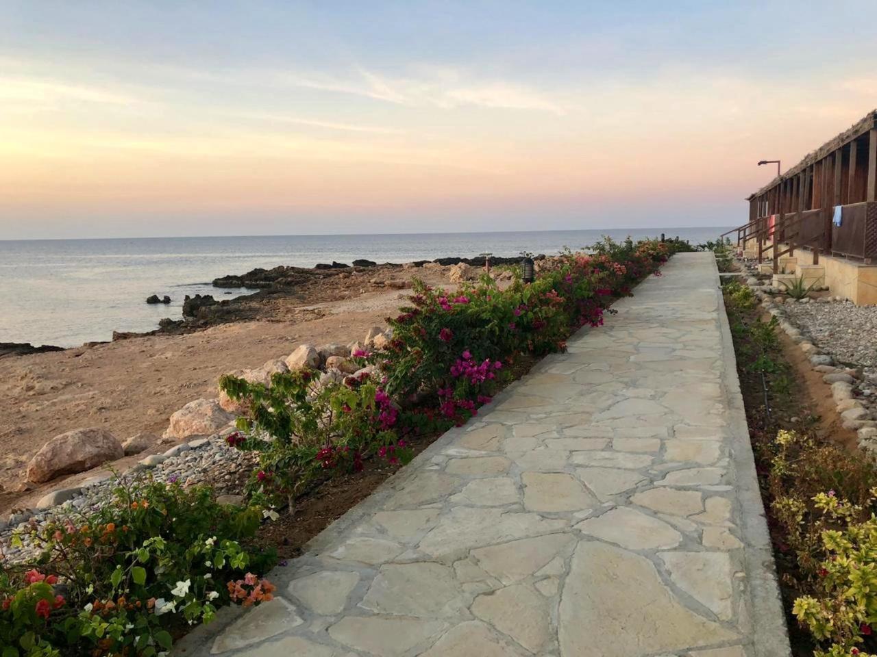 Turtle Beach Resort Ras al Hadd Kültér fotó