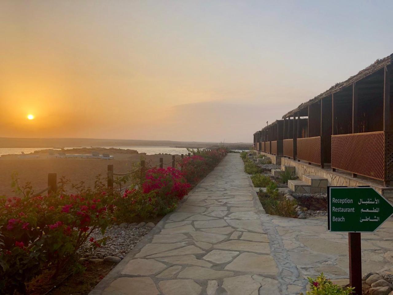Turtle Beach Resort Ras al Hadd Kültér fotó