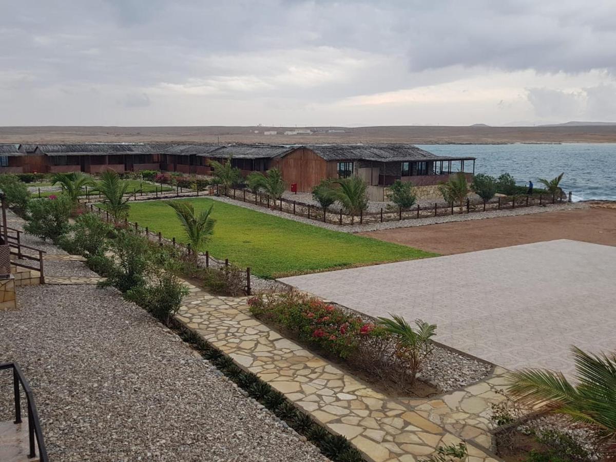 Turtle Beach Resort Ras al Hadd Kültér fotó